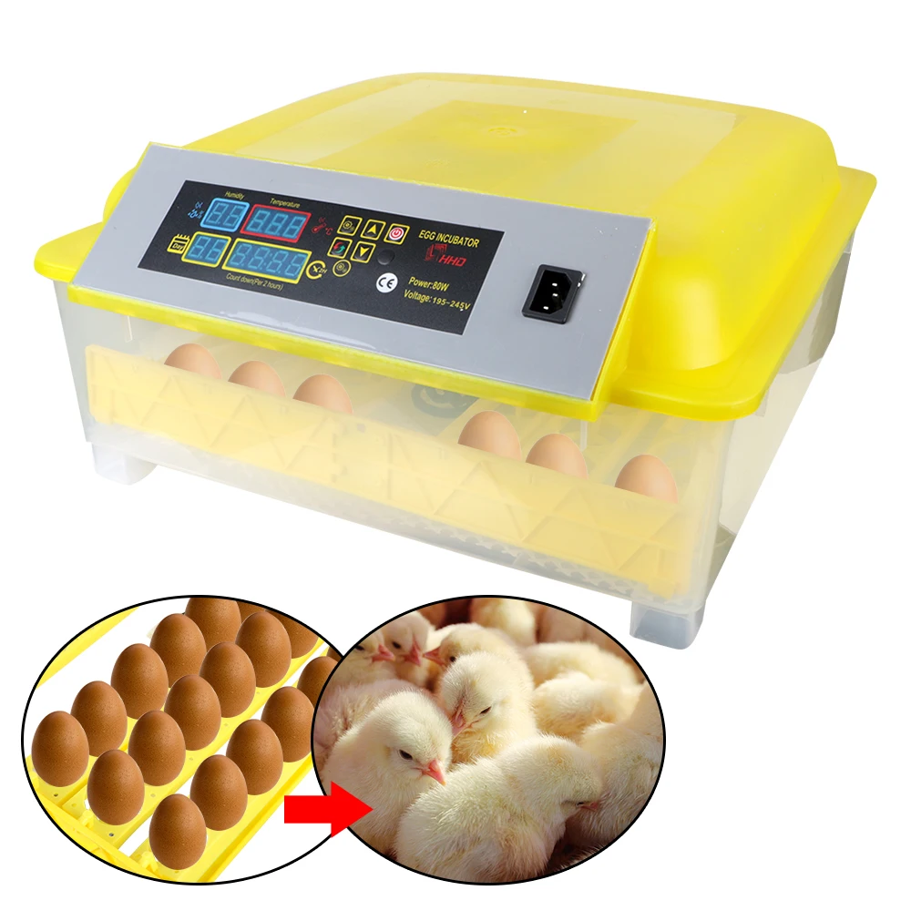 Bird Quail Chicken Brooder Temperature Humidity Control EU Plug Poultry Hatching Machine 48 Egg Incubator Automatic 
Bird Quail Chicken Brooder Temperature Humidity Control EU Plug Poultry Hatching Machine 48 Egg Incubator Automatic