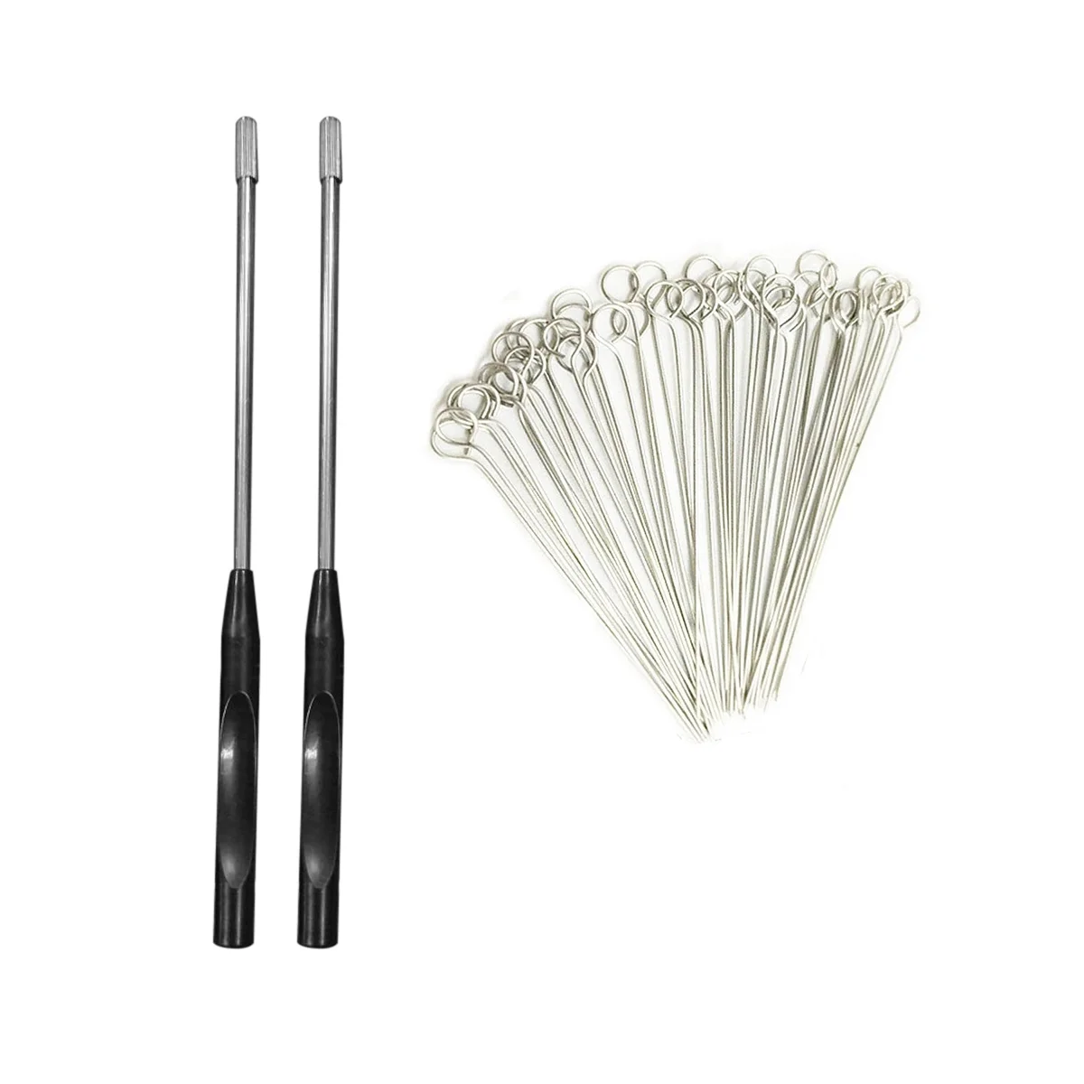 2PCS Reusable Inoculating Loop Holders with 50Pcs 10UL Nichrome Needle Tips Inoculation Loop for Lab
2PCS Reusable Inoculating Loop Holders with 50Pcs 10UL Nichrome Needle Tips Inoculation Loop for Lab