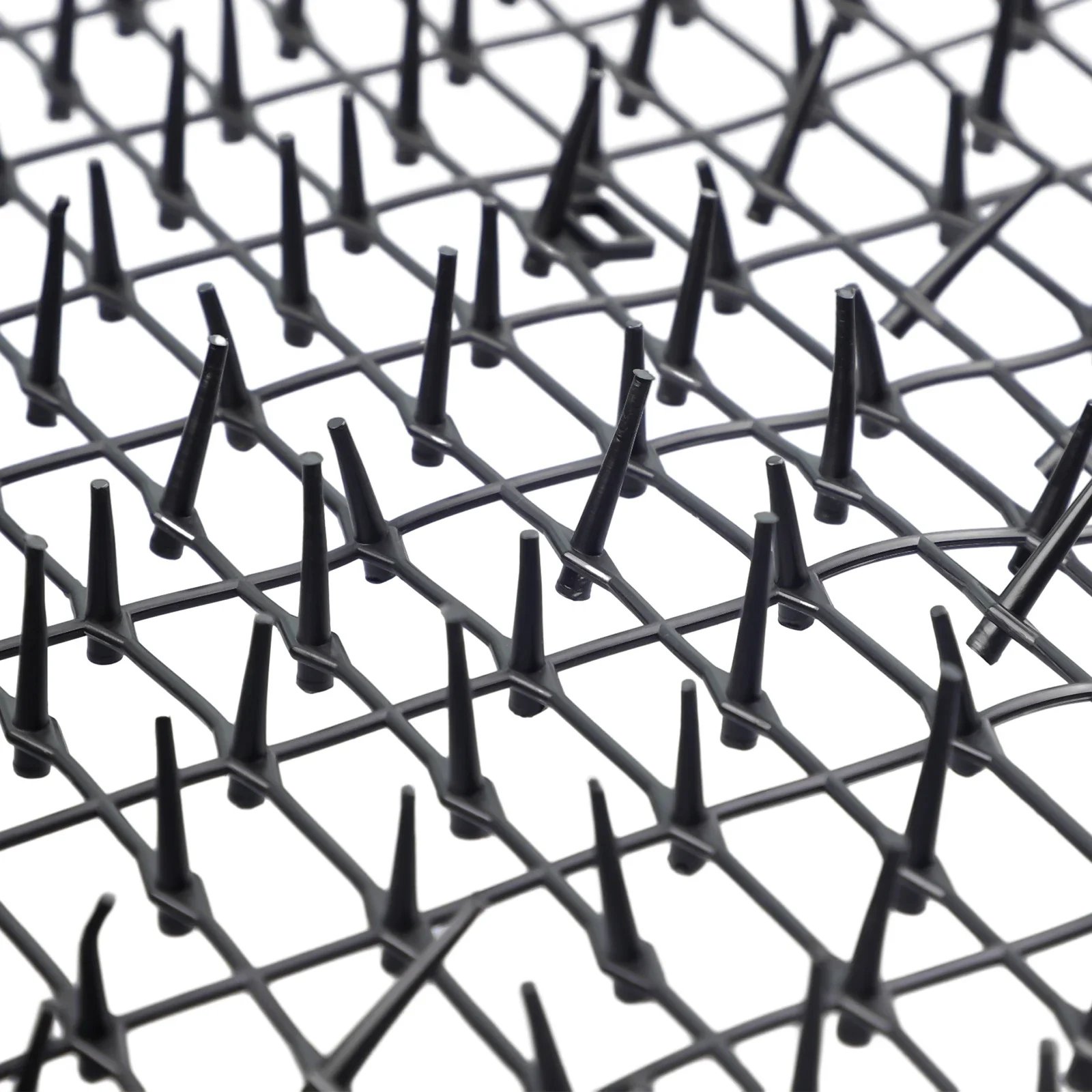2M Pest Dog Cat Animal Deterrent Repellent Plastic Scarer Spike Tool Cat Repellent Mat Anti-Cat Garden Protectors
2M Pest Dog Cat Animal Deterrent Repellent Plastic Scarer Spike Tool Cat Repellent Mat Anti-Cat Garden Protectors