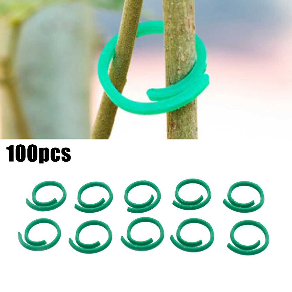 Indoor&outdoor Plant Clips Plant Support For Flowers For Vegetables Tomato Green Greenhouse Plastic Replacement
Indoor&outdoor Plant Clips Plant Support For Flowers For Vegetables Tomato Green Greenhouse Plastic Replacement