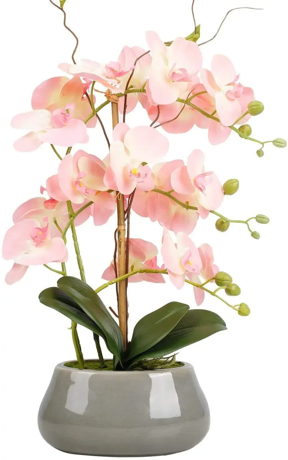 Artificial White Orchid and Flower Pot Phalaenopsis Orchid, Used for Ceramic Grey Vase Interior Decoration
Artificial White Orchid and Flower Pot Phalaenopsis Orchid, Used for Ceramic Grey Vase Interior Decoration