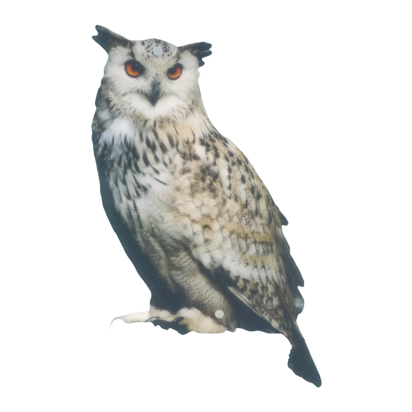 Garden Decoration Owl Decor Safe 17*27cm 1pcs Acrylic Acrylic Material Bird Control Easy To Install. Rainproof
Garden Decoration Owl Decor Safe 17*27cm 1pcs Acrylic Acrylic Material Bird Control Easy To Install. Rainproof