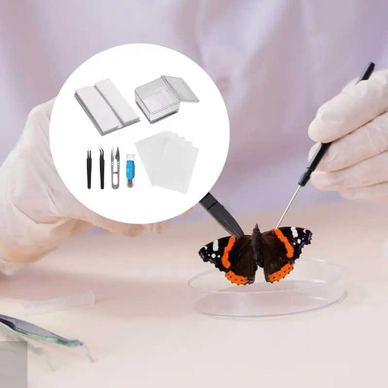 Инструмент для работы с образцами s многоразовый набор Taxidermy и Entomology, полная деталь для бабочки 
Инструмент для работы с образцами s многоразовый набор Taxidermy и Entomology, полная деталь для бабочки