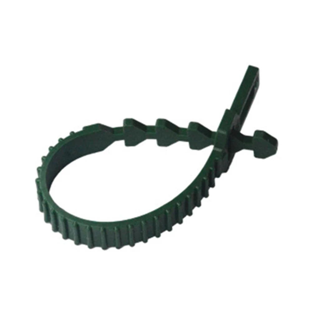 Plant Garden Tie Accessories Adjustable Cable Clips Fastener Garden Gardening Greenhouse Home Supports Fashion
Plant Garden Tie Accessories Adjustable Cable Clips Fastener Garden Gardening Greenhouse Home Supports Fashion