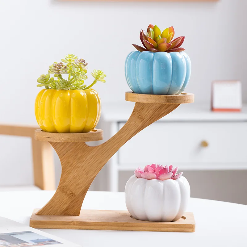 Colorful meat basin ceramic pumpkin small flowerpot home gardening green plant ice crack thumb basin wholesale
Colorful meat basin ceramic pumpkin small flowerpot home gardening green plant ice crack thumb basin wholesale