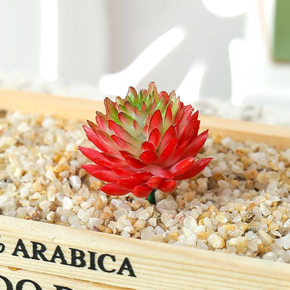Creative and Vibrant Artificial Succulent Plant Ideal for Craft Projects Parties and Wedding Decorations 1 Piece
Creative and Vibrant Artificial Succulent Plant Ideal for Craft Projects Parties and Wedding Decorations 1 Piece