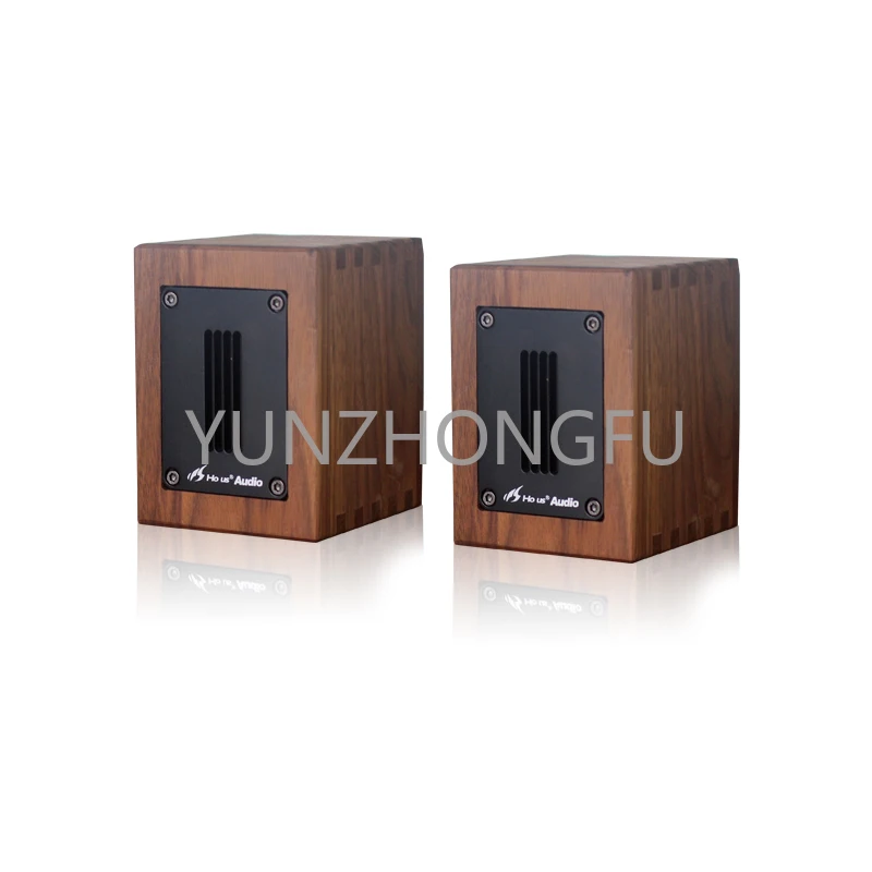 Tweeter Speaker 6Ohm 30W ribbon tweeter Walnut Fever Independent Ribbon Super Tweeter External
Tweeter Speaker 6Ohm 30W ribbon tweeter Walnut Fever Independent Ribbon Super Tweeter External