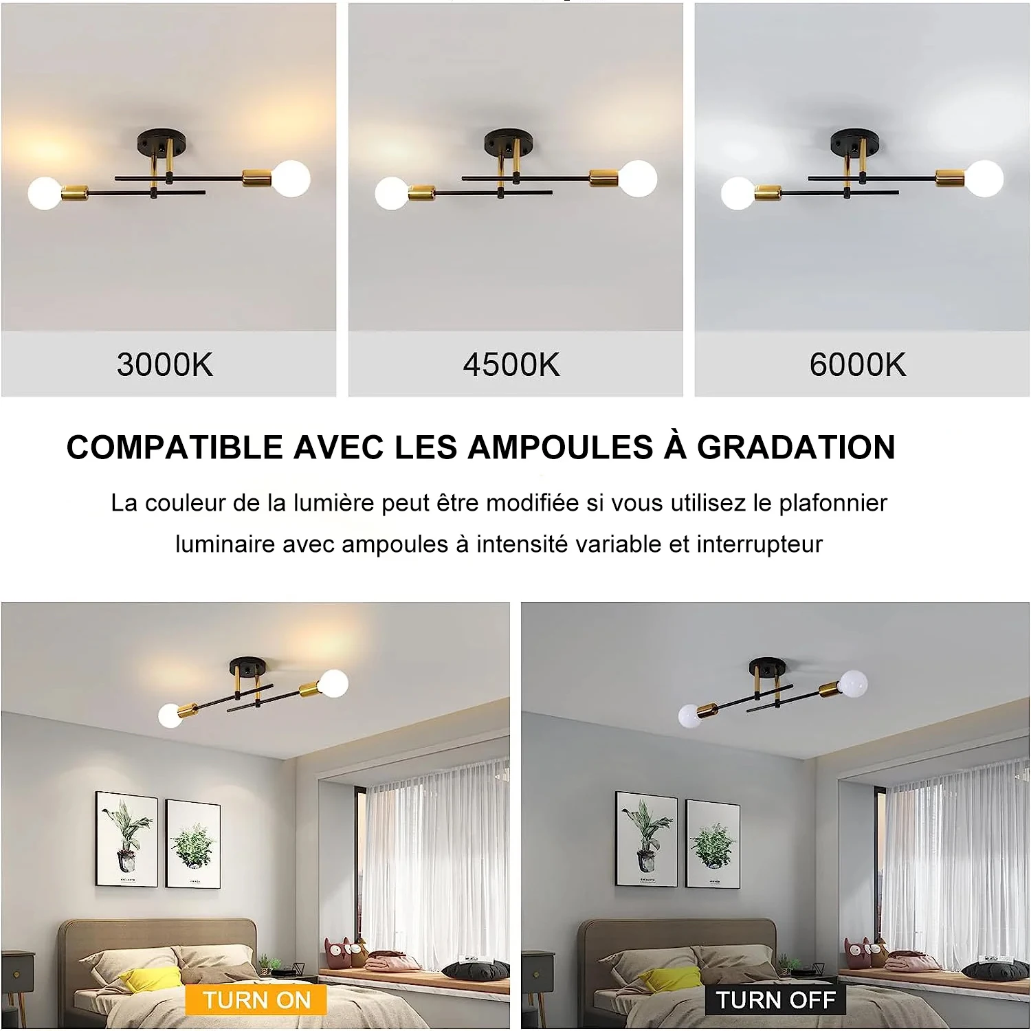 Double headed iron ceiling light, VintageCeiling Lamp For Living Room Bedroom Dining Room Office, E27 Base without light source Double headed iron ceiling light, VintageCeiling Lamp For Living Room Bedroom Dining Room Office, E27 Base without light source