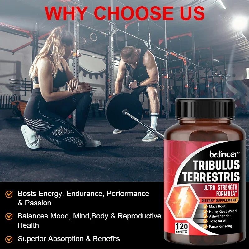 Tribulus Terrestris Extract - Enhances The Body's Immunity, Ability, Anti-fatigue, Sleep Quality and Endurance
Tribulus Terrestris Extract - Enhances The Body's Immunity, Ability, Anti-fatigue, Sleep Quality and Endurance