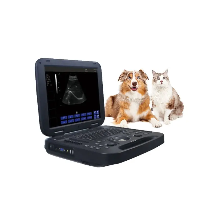 

Женский ультразвуковой сканер, черный и белый ультразвуковой сканер, портативная ветеринарная ультразвуковая машина