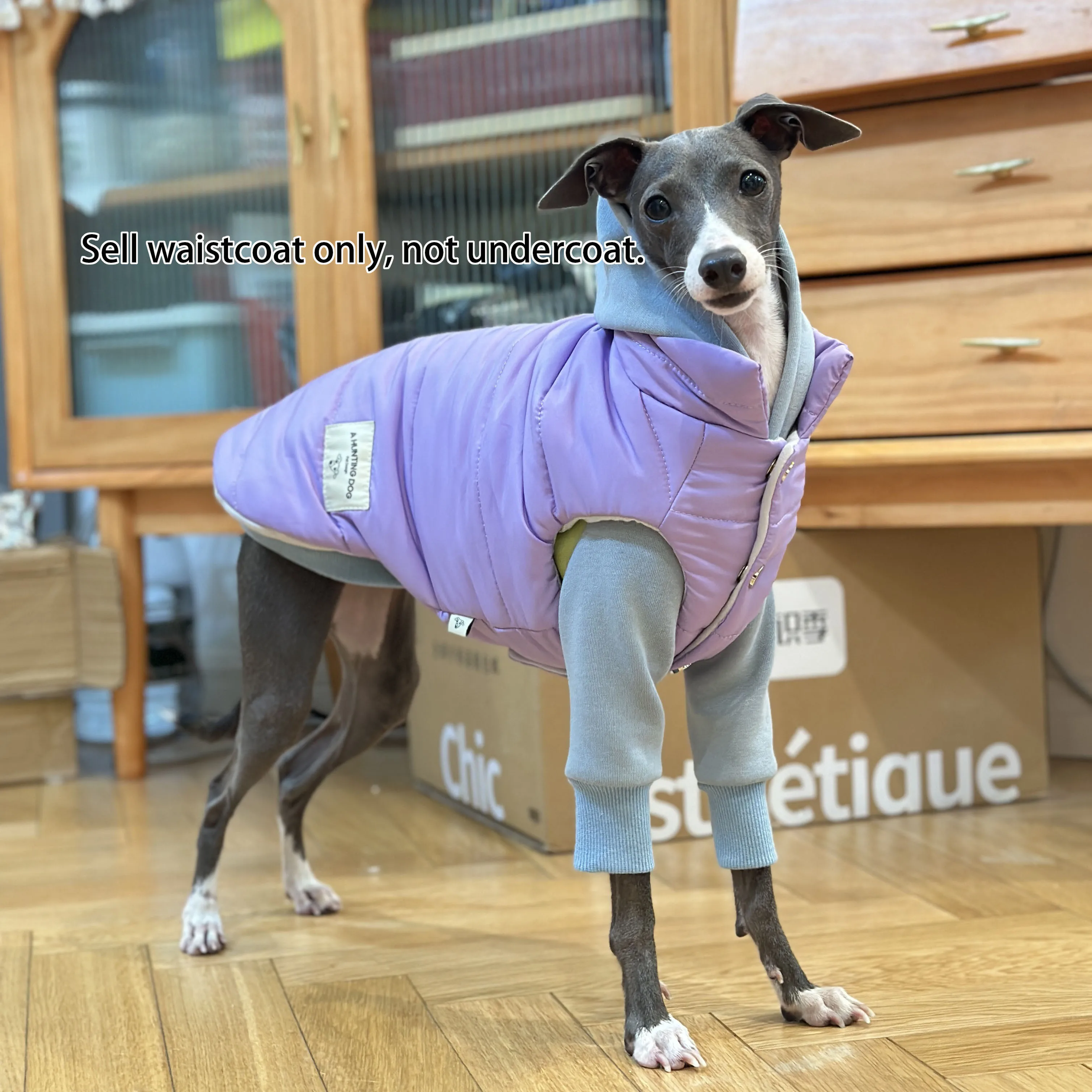 Удобный зимний плотный стеганый хлопковый жилет Greyhound, двойная стеганая хлопковая плотная Термоодежда для собак
Удобный зимний плотный стеганый хлопковый жилет Greyhound, двойная стеганая хлопковая плотная Термоодежда для собак