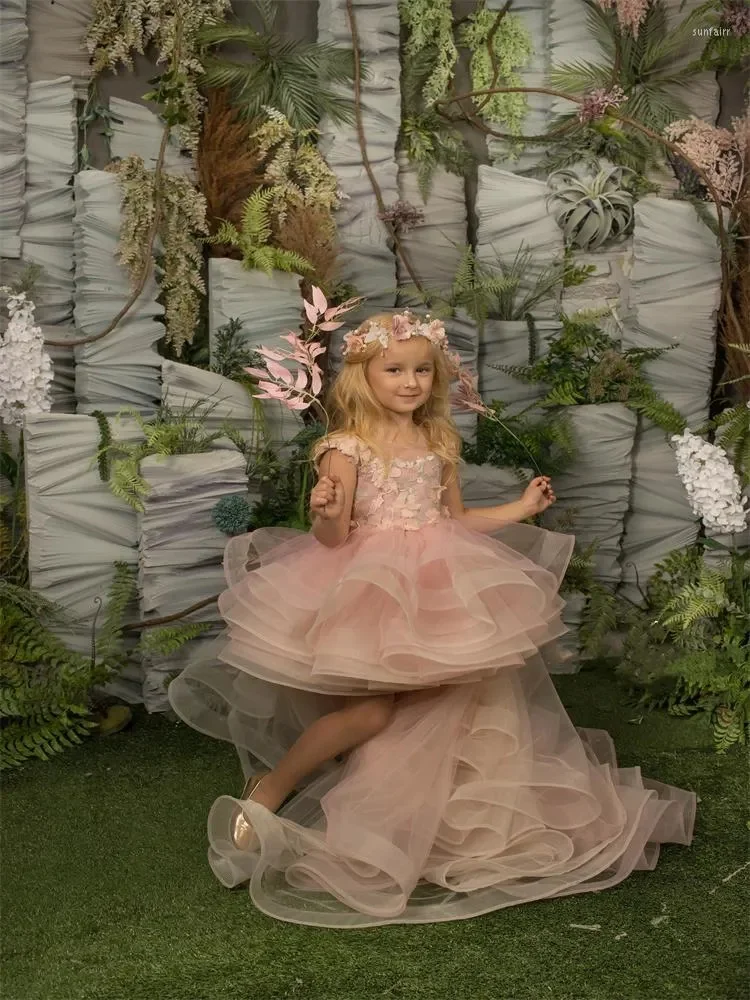 Girl Dresses Stylish Flower Girls Dress For Wedding Party Butterfly Baptism Gowns Tulle Sleeveless Boat Neck Appliques Communion
Girl Dresses Stylish Flower Girls Dress For Wedding Party Butterfly Baptism Gowns Tulle Sleeveless Boat Neck Appliques Communion