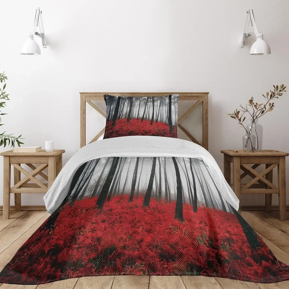 

Duvet cover set mystery fantasy woodland contrast under dense fog tall trees bushes, 3 piece decorative quilted bedspread set