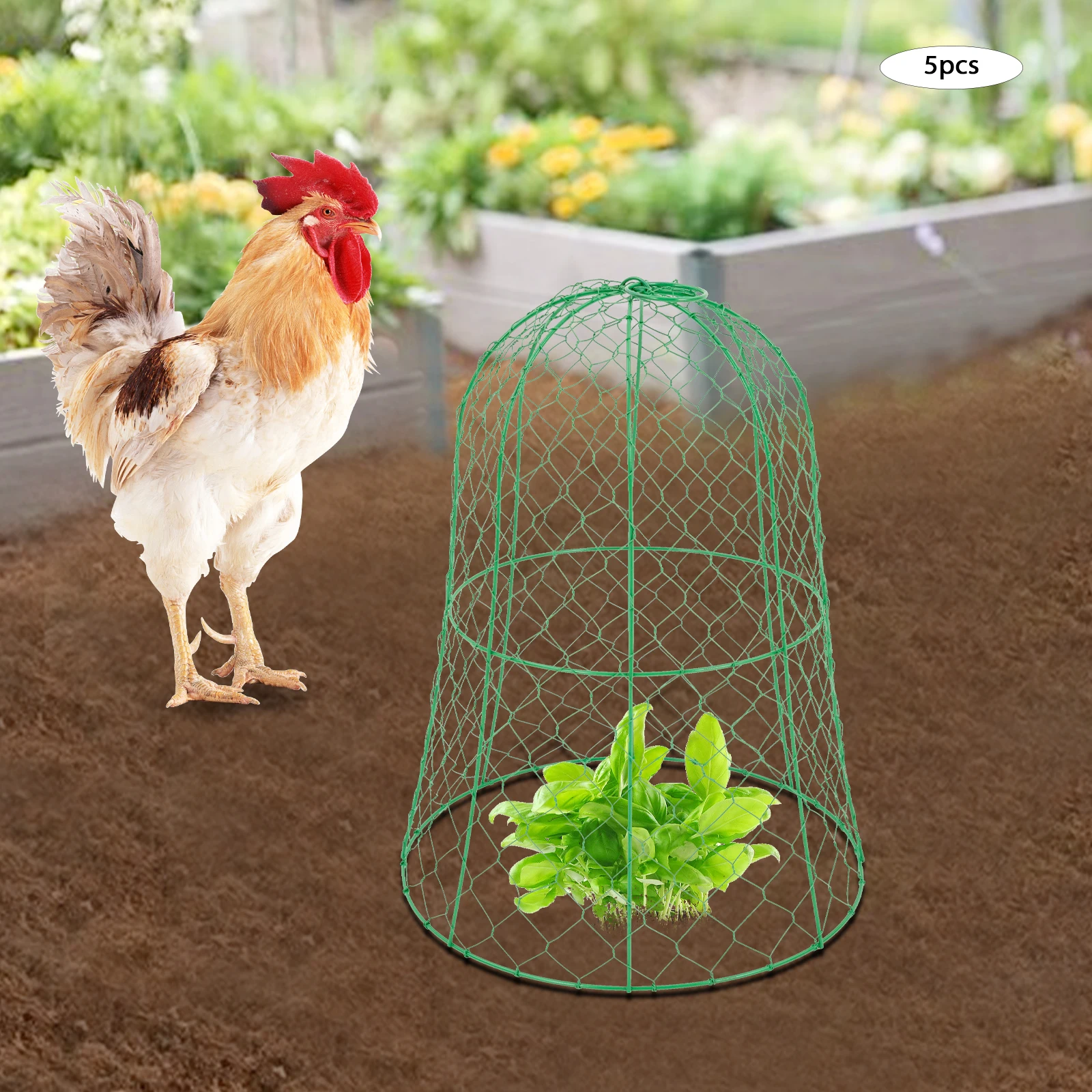 

5 Pack Garden Chicken Wire Cloche Plant Protector Cover Strong Metal Cloches (5 Packs) 12.99" Diameter x 15.75" Height Garden