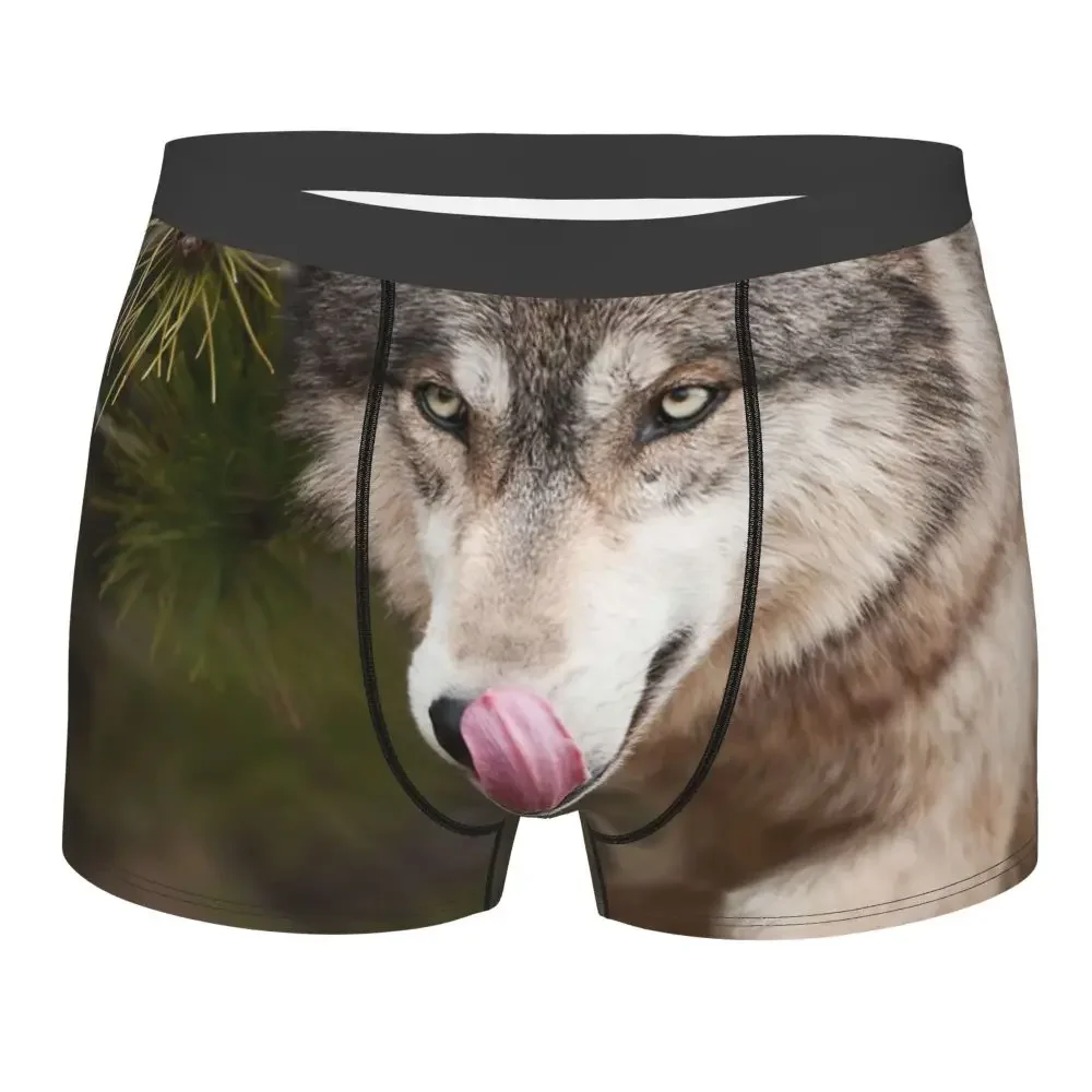 Men Boxer Briefs Shorts Panties The Wolves Licking Wolf Soft Underwear Homme Humor S-XXL Underpants
Men Boxer Briefs Shorts Panties The Wolves Licking Wolf Soft Underwear Homme Humor S-XXL Underpants