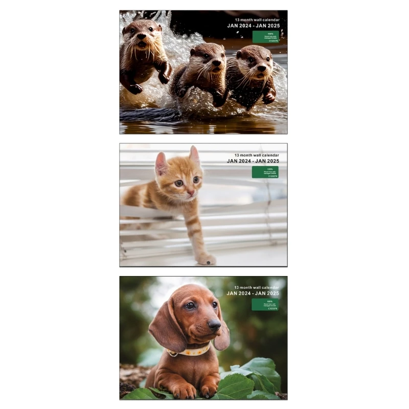 2024 Wall Calendar Monthly Calendar 13 Months reference from 2024-06 2025
2024 Wall Calendar Monthly Calendar 13 Months reference from 2024-06 2025