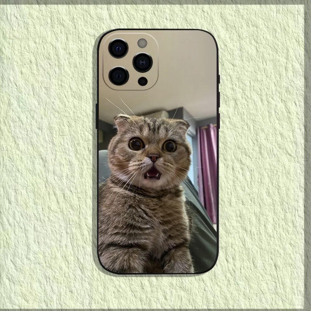 Pet Cat Funny memes Phone Case For iPhone 16,15,14,13,12,11,Pro,X,XS,Max,XR,Plus,Mini Soft Black Cover Pet Cat Funny memes Phone Case For iPhone 16,15,14,13,12,11,Pro,X,XS,Max,XR,Plus,Mini Soft Black Cover