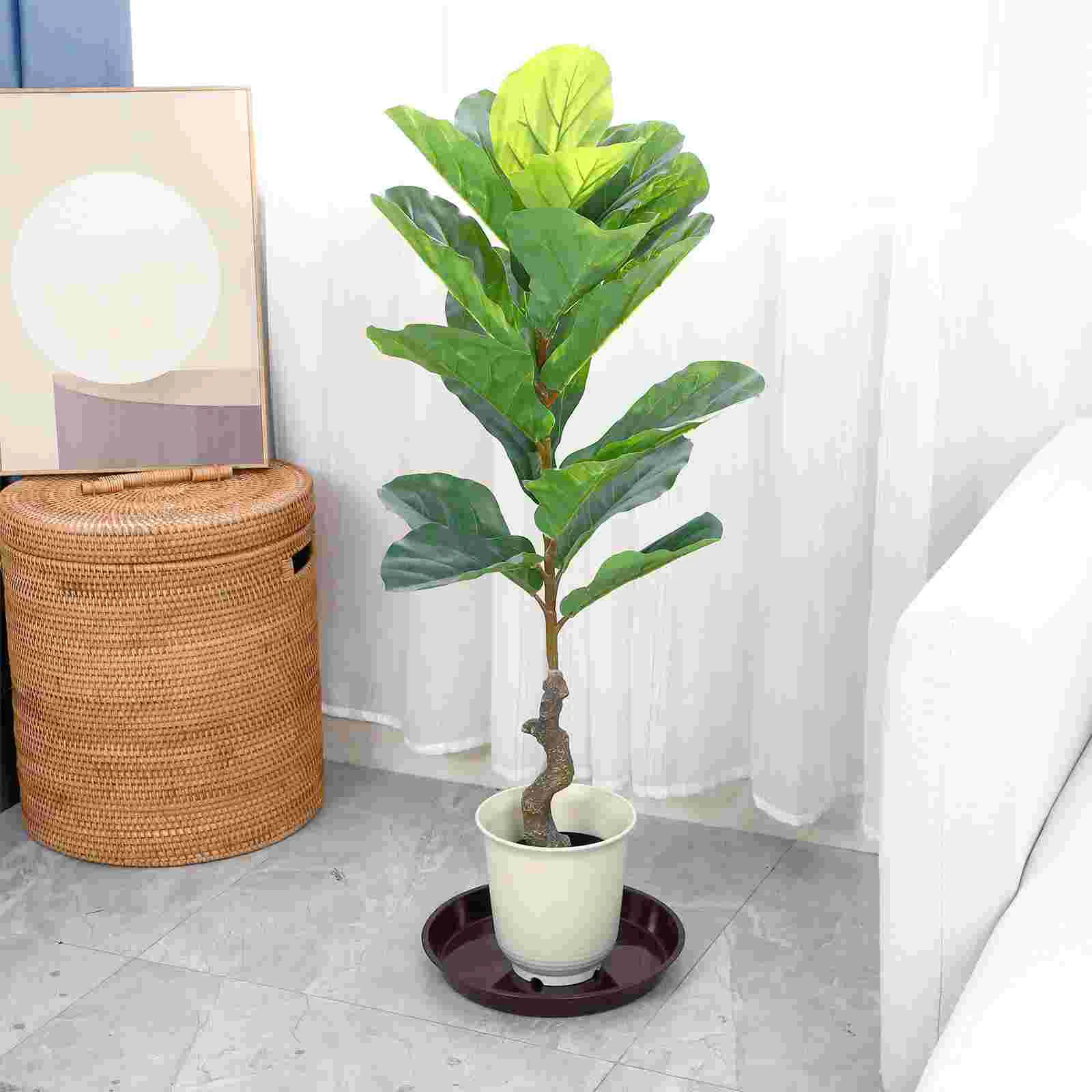 5 Pcs Pot Plants Indoor Tray Round Saucers Plastic Flower Plates Trays Outdoor Home
5 Pcs Pot Plants Indoor Tray Round Saucers Plastic Flower Plates Trays Outdoor Home