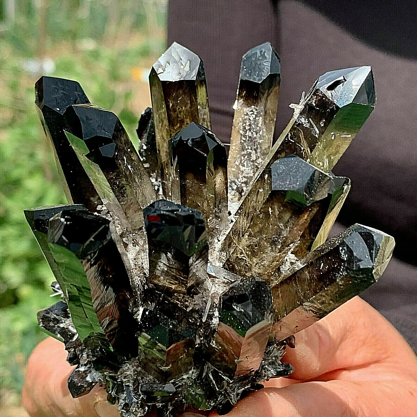 Beautiful Natural Black Smoky Quartz Crystal Cluster Mineral Healing Spirit Energy Home Office Aquarium Decoration Gift
Beautiful Natural Black Smoky Quartz Crystal Cluster Mineral Healing Spirit Energy Home Office Aquarium Decoration Gift