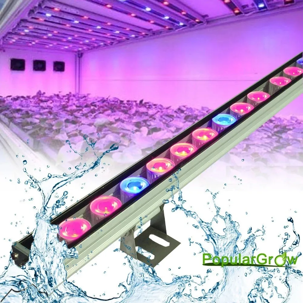 IP65 108W linear wall washer led grow light Full spectrum bar hydroponics indoor dimmable led hanging plant growth strip lamp
IP65 108W linear wall washer led grow light Full spectrum bar hydroponics indoor dimmable led hanging plant growth strip lamp