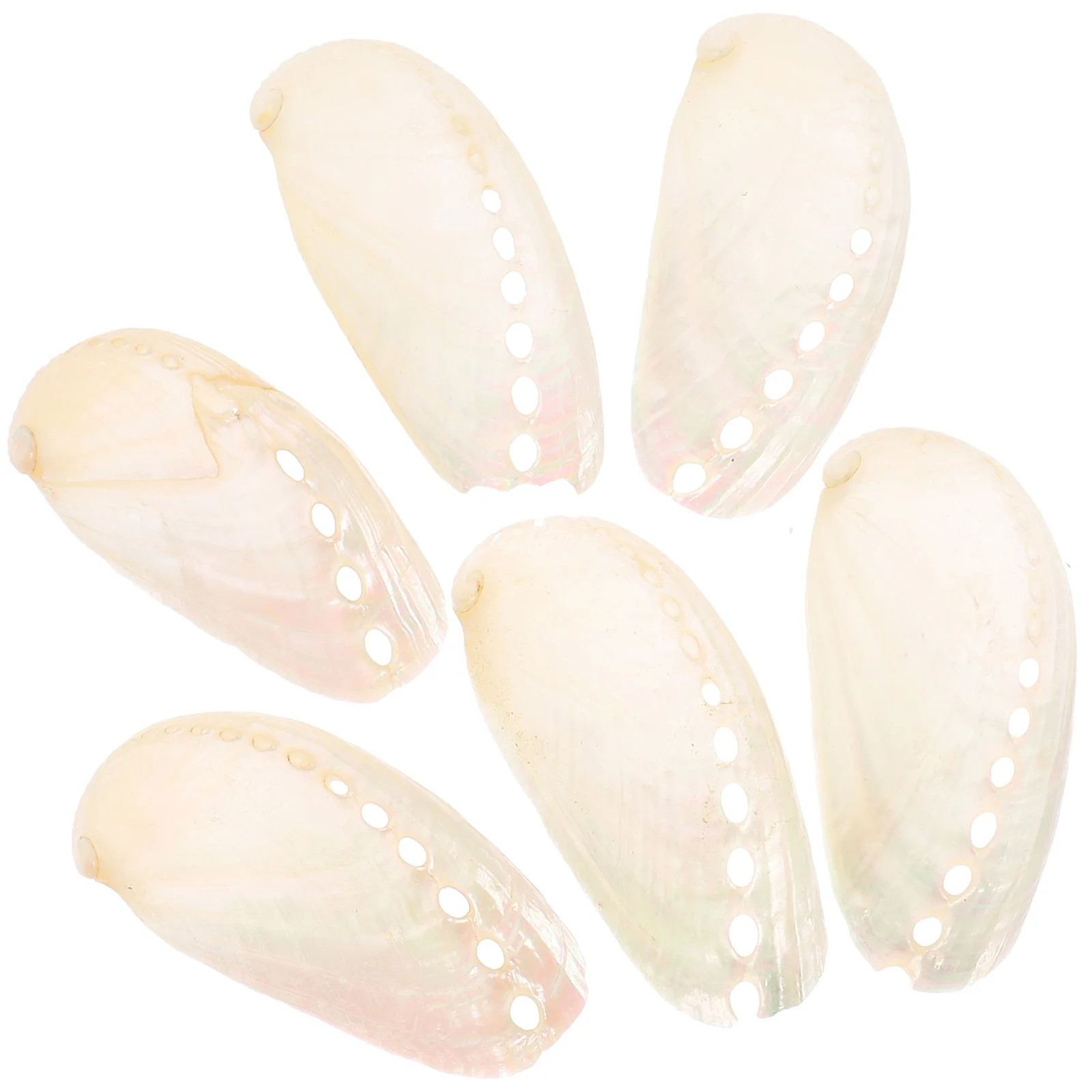 6 Pcs Wedding Decorations Home Abalone Shell Small Seashells Fish Tank Conch Table Craft Natural Decorative
6 Pcs Wedding Decorations Home Abalone Shell Small Seashells Fish Tank Conch Table Craft Natural Decorative