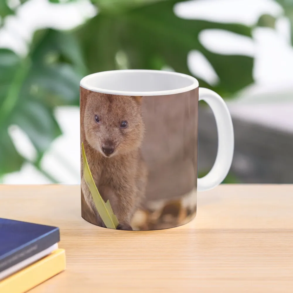 

Western Australian endangered Quokka Coffee Mug Ceramic Coffee Mug Custom Mug Tourist Mug Cups For Coffee And Tea