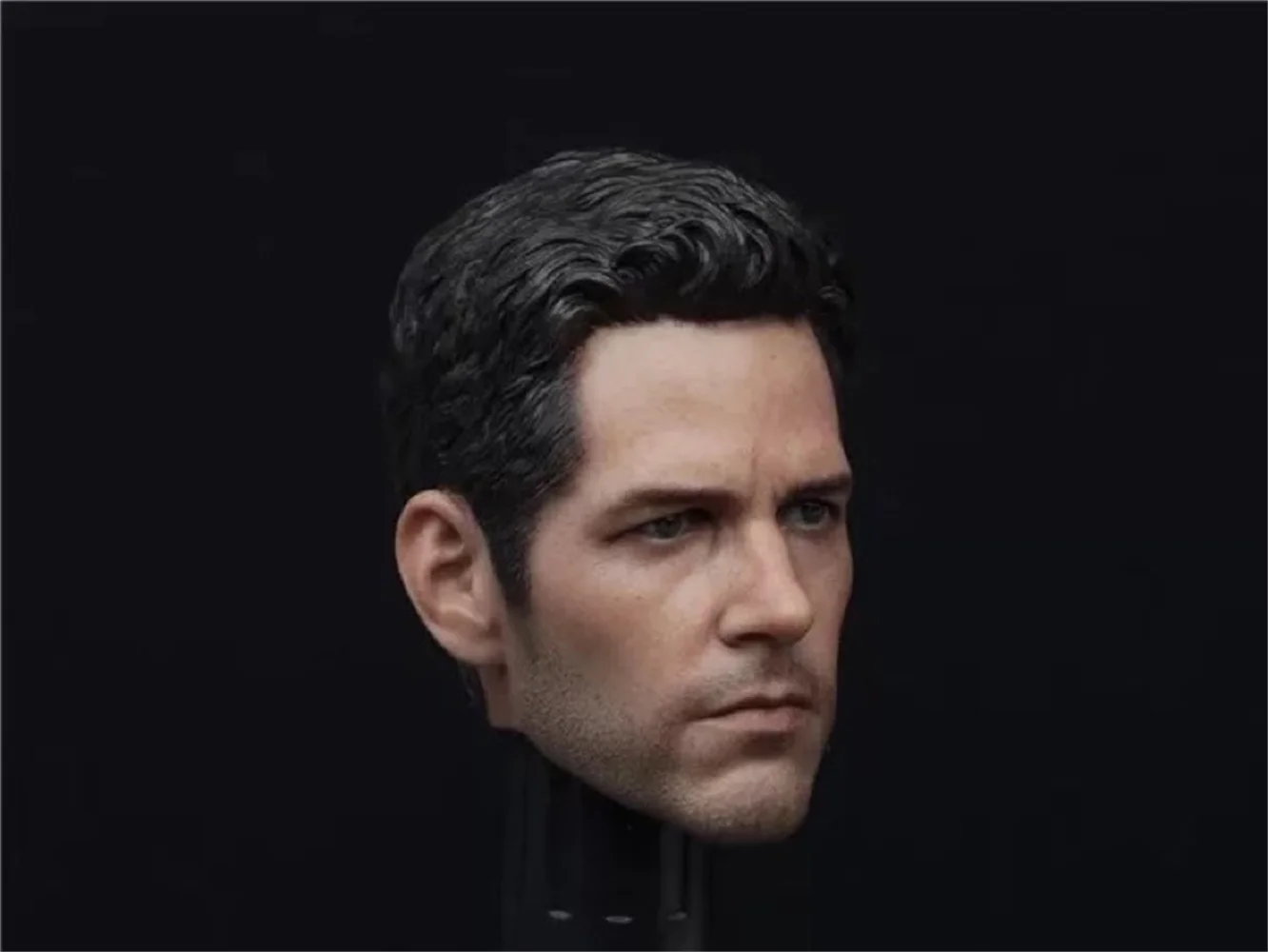 1/6 Man Head Paul Rudd Sculpt Carving Model PVC 2.0 For Action Figure Doll Body Collection
1/6 Man Head Paul Rudd Sculpt Carving Model PVC 2.0 For Action Figure Doll Body Collection