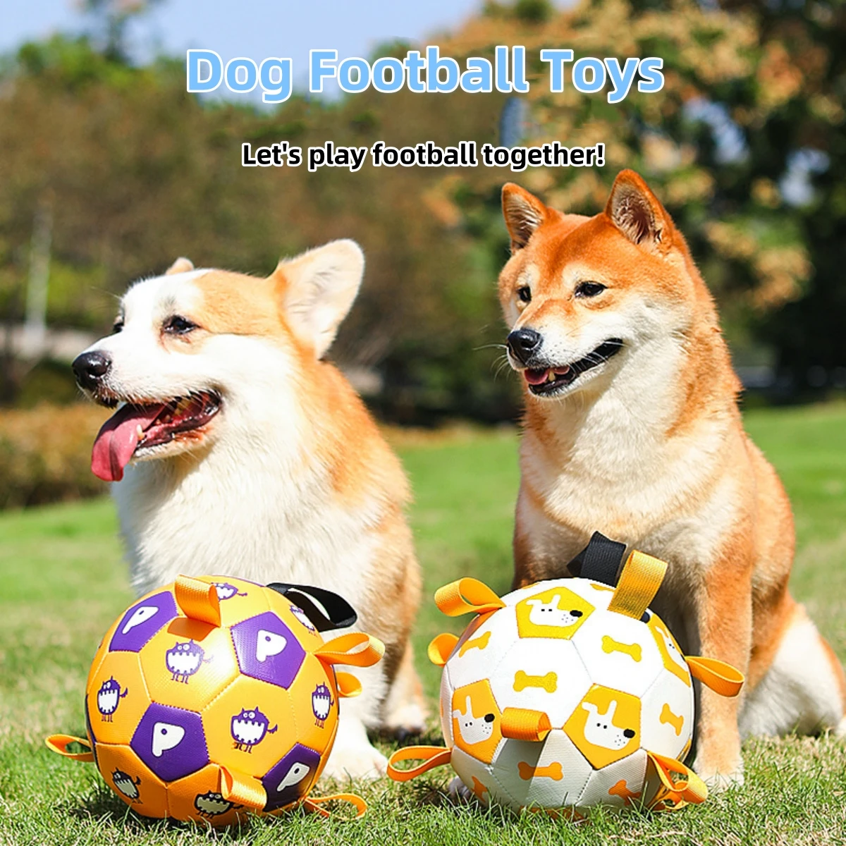 Dog Toys Interactive Pet Football With Straps Dogs Bite Chew Balls Pet Accessories Puppy Birthday Gifts Outdoor Training Soccer
Dog Toys Interactive Pet Football With Straps Dogs Bite Chew Balls Pet Accessories Puppy Birthday Gifts Outdoor Training Soccer
