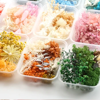 1 Box Artificial Plants Natural Real Dried Flowers for Candles Mold Epoxy Resin DIY Making Decoration Home Accessories Crafts