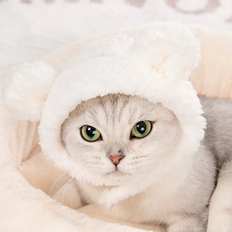 S95c69109127e41c59ec939c857b70edbf