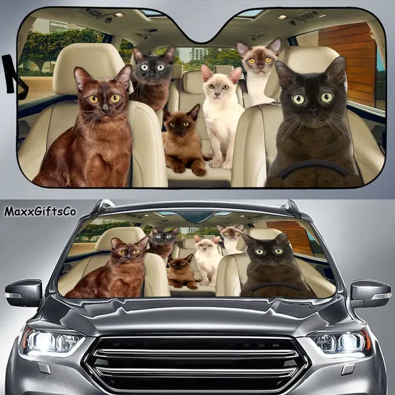 Burmese cat car sun shade,Burmese cat windshield,family sunshade,cat car accessories,car decoration,gift for father,mother
Burmese cat car sun shade,Burmese cat windshield,family sunshade,cat car accessories,car decoration,gift for father,mother