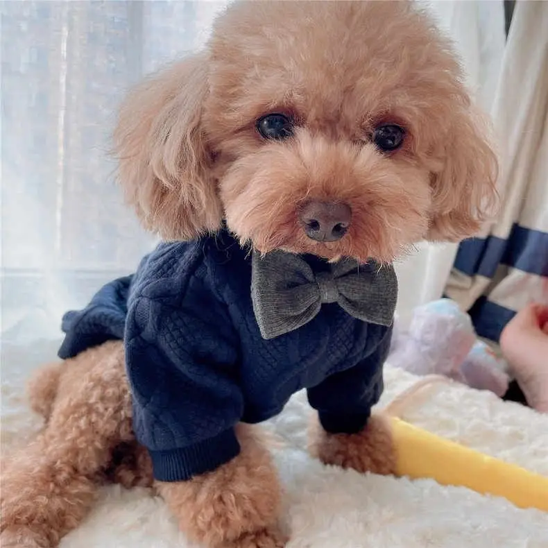 Cat and Dog Agree Gentleman's playful bow tie autumn and winter clothes Teddy Fadou Fat Dog Dress Personalized Pet Clothing
Cat and Dog Agree Gentleman's playful bow tie autumn and winter clothes Teddy Fadou Fat Dog Dress Personalized Pet Clothing