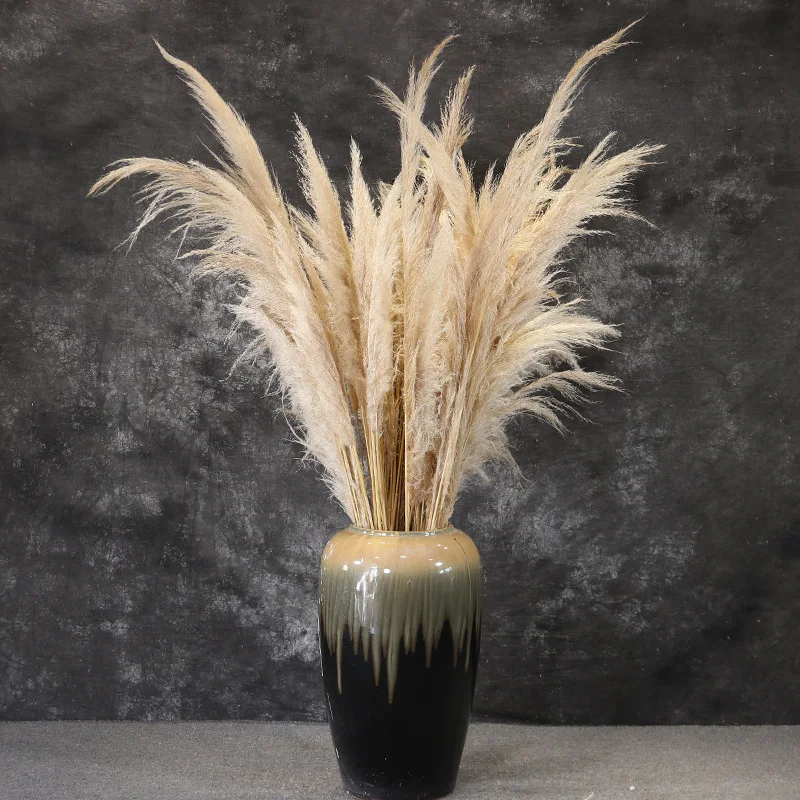 Fluffy Large Dried Pampas Grass Boho Wedding Arrangement Decor Long Plumes Preserved Pink Beige Reed Pampasgras Bleached White
Fluffy Large Dried Pampas Grass Boho Wedding Arrangement Decor Long Plumes Preserved Pink Beige Reed Pampasgras Bleached White