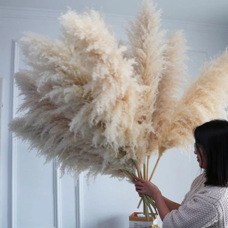 110cm Large Plume Dry Fluffy Pampas Grass Wholesale Boho Wedding Decor Natural Real Preserved Flower Home Garden Decoration Reed
110cm Large Plume Dry Fluffy Pampas Grass Wholesale Boho Wedding Decor Natural Real Preserved Flower Home Garden Decoration Reed