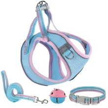 Dog Collar Personality Pattern Vest Chest Back Set Pet Chest Strap Reflective Dog Leash Amazon Suede Safety Breathable Dog Sling
Dog Collar Personality Pattern Vest Chest Back Set Pet Chest Strap Reflective Dog Leash Amazon Suede Safety Breathable Dog Sling