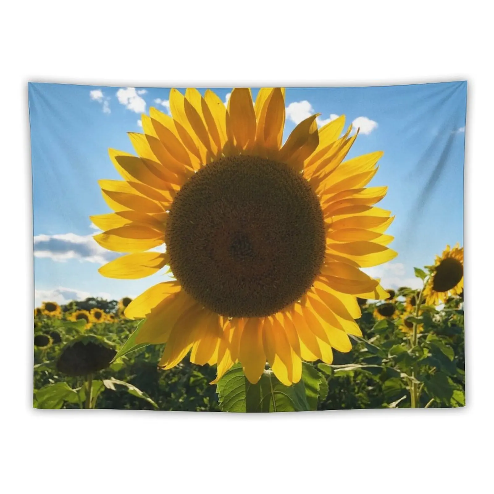 Sunflower Tapestry Decoration For Bedroom Funny Home Supplies Outdoor Decor Tapestry
Sunflower Tapestry Decoration For Bedroom Funny Home Supplies Outdoor Decor Tapestry