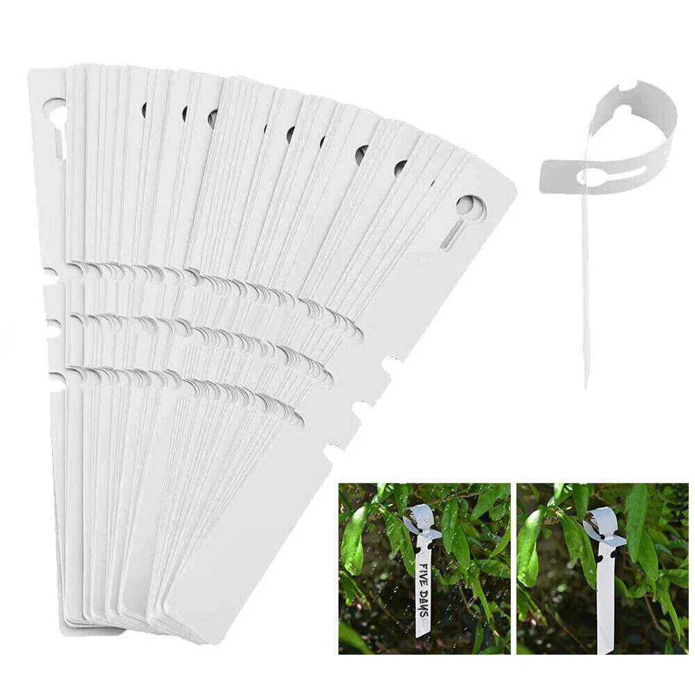 200pcs Plant Labels Flexible PVC Plastic Garden Hang Tag Nursey Plant Marker Pen Bulk Sale Waterproof Reusable
200pcs Plant Labels Flexible PVC Plastic Garden Hang Tag Nursey Plant Marker Pen Bulk Sale Waterproof Reusable