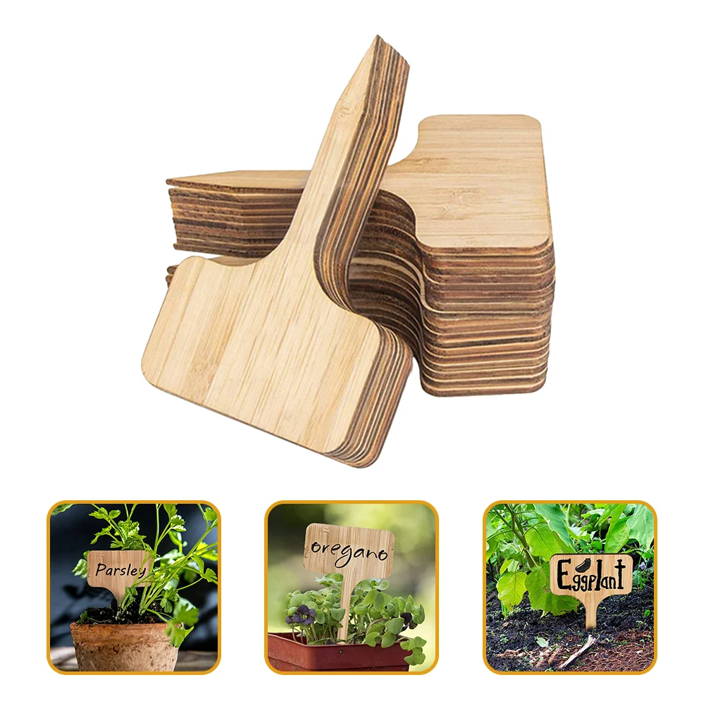 30 Pcs Succulent Planters Label Wooden Labels Vegetable Tags T-type Garden Markers
30 Pcs Succulent Planters Label Wooden Labels Vegetable Tags T-type Garden Markers