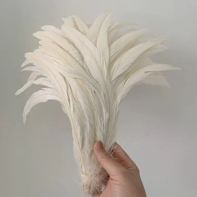 45-50cmRooster tail feather Raw White Colors DIY feather clothing jewelry accessories / wedding Party supplies 
45-50cmRooster tail feather Raw White Colors DIY feather clothing jewelry accessories / wedding Party supplies