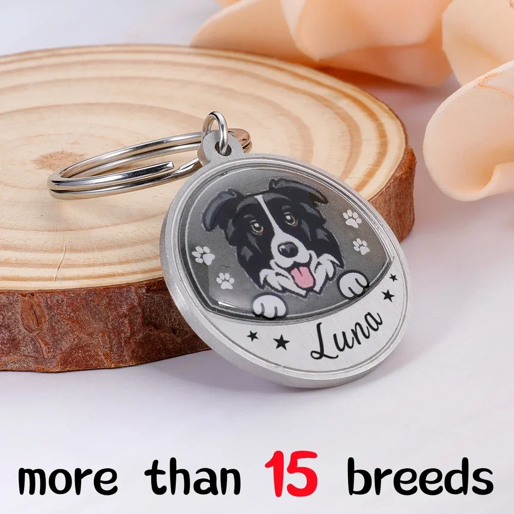 Personalized Pet ID Tags Custom Name Free Engraving Dog ID Collars For Puppy Dog Tag Collar Nameplate Anti-lost Accessories
Personalized Pet ID Tags Custom Name Free Engraving Dog ID Collars For Puppy Dog Tag Collar Nameplate Anti-lost Accessories