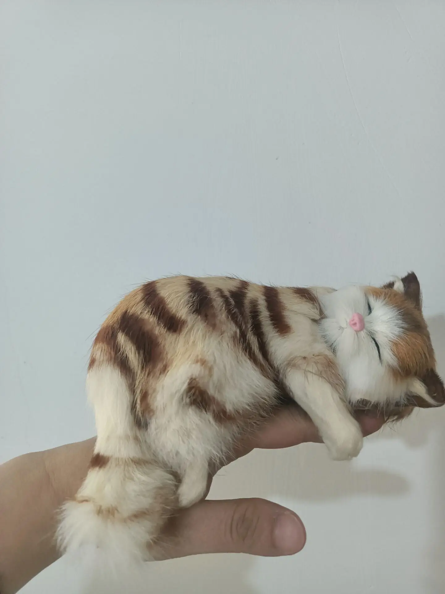 Симпатичная модель спящего кота из пластика и меха, украшение для дома, подарок, около 20 см, a0056
Симпатичная модель спящего кота из пластика и меха, украшение для дома, подарок, около 20 см, a0056