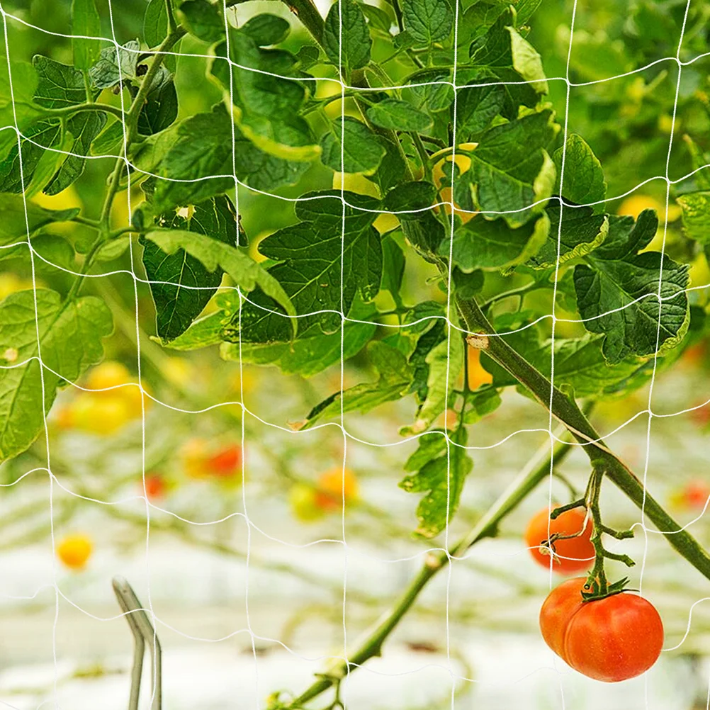 Climbing Net Netting for Fruit Trees Scaffolding Gardening Accessories Polyester Tools
Climbing Net Netting for Fruit Trees Scaffolding Gardening Accessories Polyester Tools