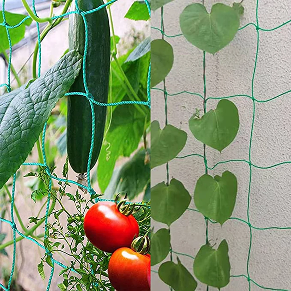 1pc Plastic Nylon Plant Grow Fence Net Coarse-meshed Trellis Netting Garden Support Climbing Creeper Versatile Garden Net
1pc Plastic Nylon Plant Grow Fence Net Coarse-meshed Trellis Netting Garden Support Climbing Creeper Versatile Garden Net