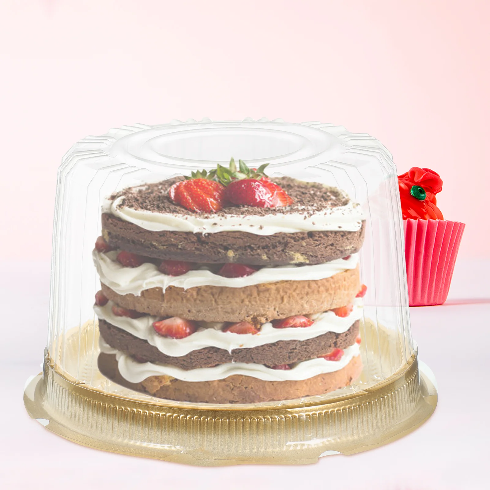 

Plastic Cake Containers Dome Lids Mini Cupcake Boxes Clear Dessert Muffin Mooncake Holder Round Cake Carrier Transport