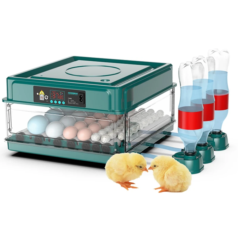 New Type 48 Eggs Automatic Chicken Egg Incubator And Hatcher Machine 
New Type 48 Eggs Automatic Chicken Egg Incubator And Hatcher Machine