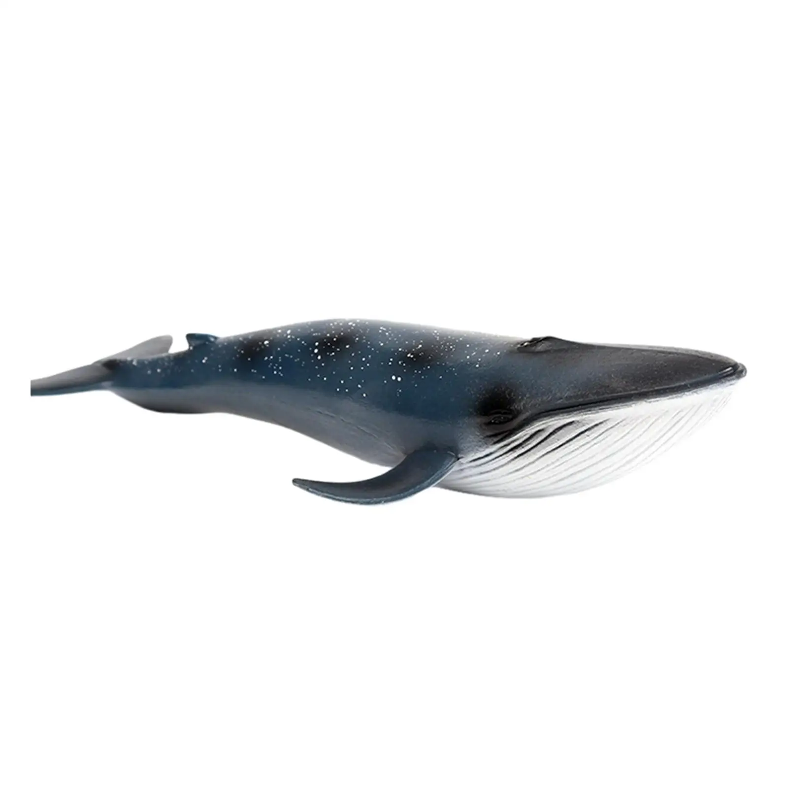 Blue Whale Model Educational Education Project Birthrday Gift Simulation Sea Whale Toy Whale Figures Toy Model for Boy Girls
Blue Whale Model Educational Education Project Birthrday Gift Simulation Sea Whale Toy Whale Figures Toy Model for Boy Girls