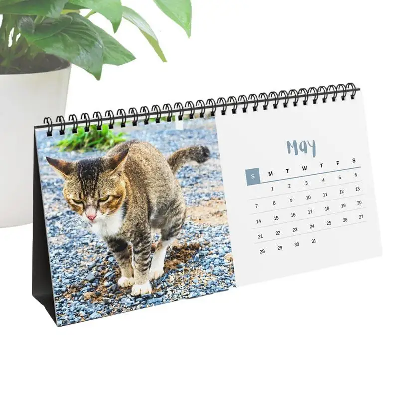 

Настенный ежемесячный календарь 2024, креативный календарь в виде кошки, какашки, забавный подарок, Настенный декор для школы, общежития, гостиницы, класса, дома