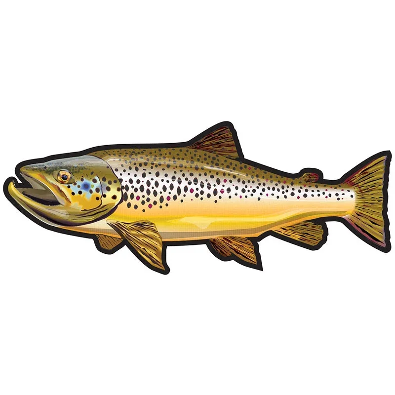 

Car Stickers Wild Brown Trout Caravan Accessories Personality Sticker Products Exterior Parts PVC Stylish Decoration