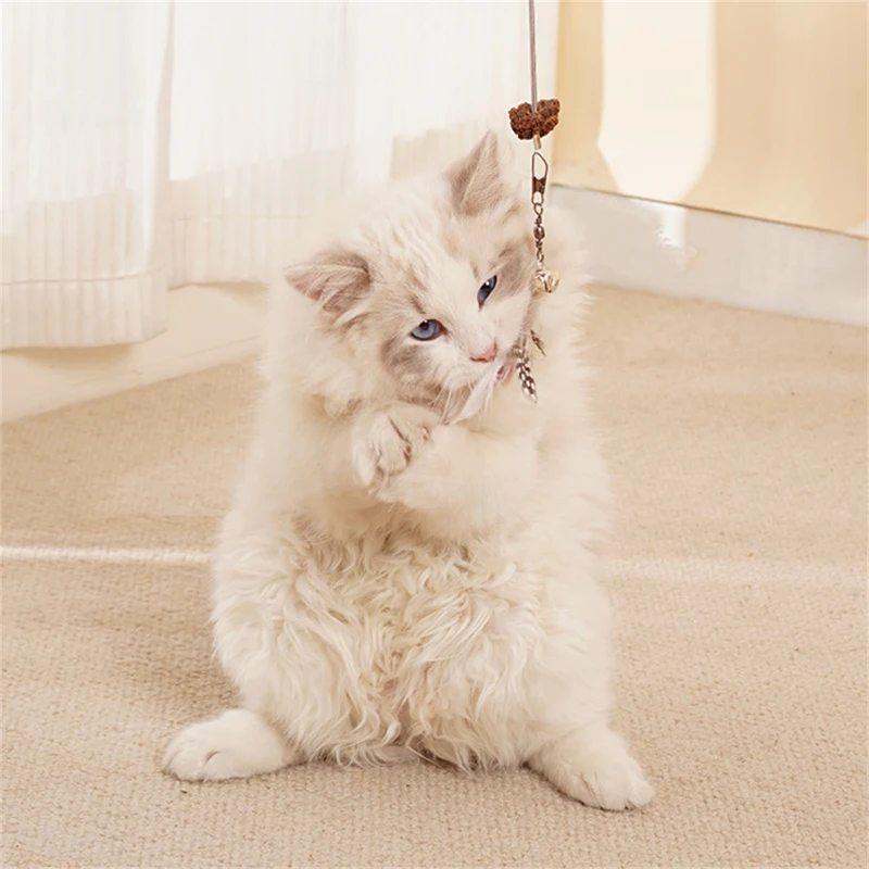 Cat Treat Dispenser Toy Leakage Food Feathers and String Interactive Pet Feeder Toy for Training Exercise
Cat Treat Dispenser Toy Leakage Food Feathers and String Interactive Pet Feeder Toy for Training Exercise