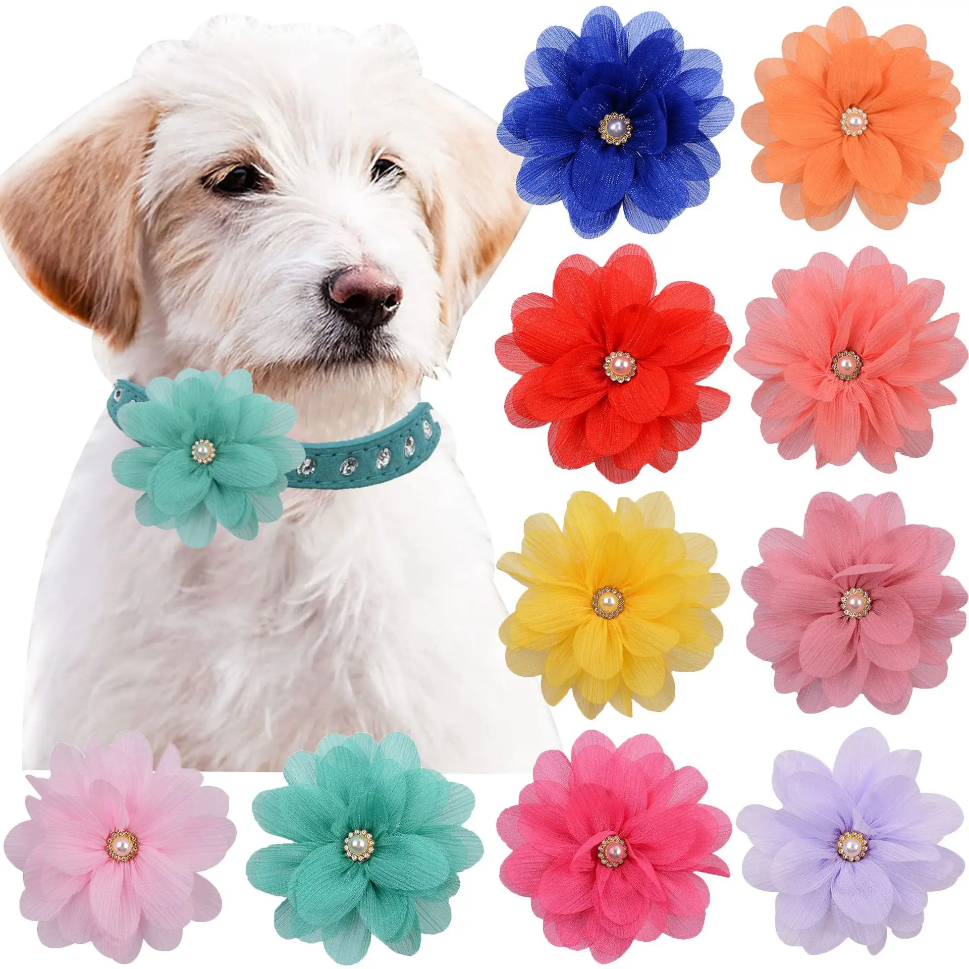 100pcs Flower Collar For Dogs Dog Pet Sliding Bow Tie For Dogs Bowties Collar Accessories Diamond Dog Accessories
100pcs Flower Collar For Dogs Dog Pet Sliding Bow Tie For Dogs Bowties Collar Accessories Diamond Dog Accessories